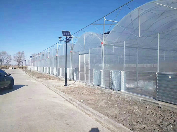 中國農(nóng)業(yè)政策與法規(guī)與未來的規(guī)劃